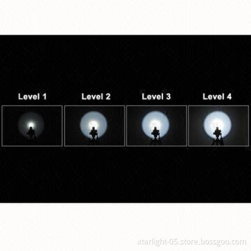 Rechargeable Flashlight with Cree LED Light